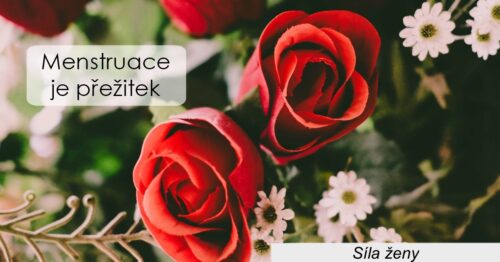 Menstruace je přežitek