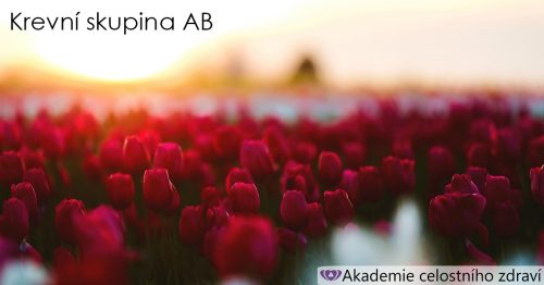 Jak vznikla krevní skupina AB