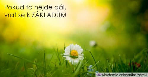 Pokud to nejde dál, vrať se k ZÁKLADŮM