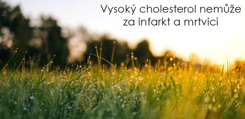 Vysoký cholesterol rozhodně nemůže za infarkt a mrtvici, tvrdí lékař