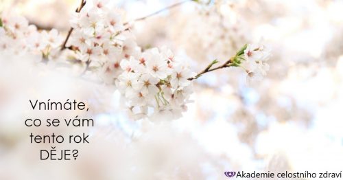 Jsme v polovině roku – bilancujete taky?