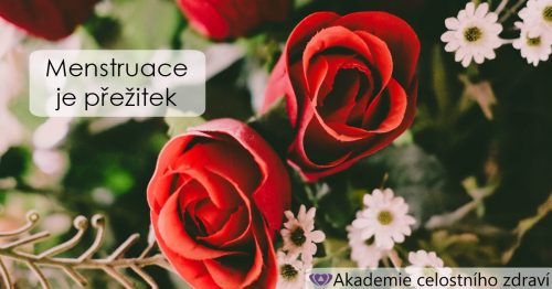 Menstruace je přežitek