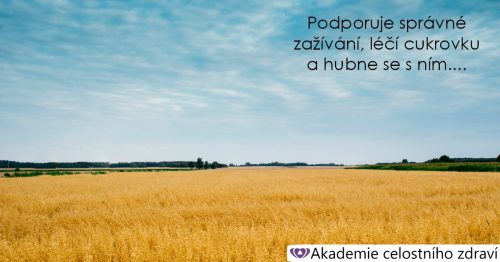 Inulin v dietě a hubnutí