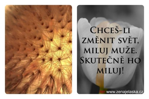 Chceš-li změnit svět, miluj muže. Skutečně ho miluj!