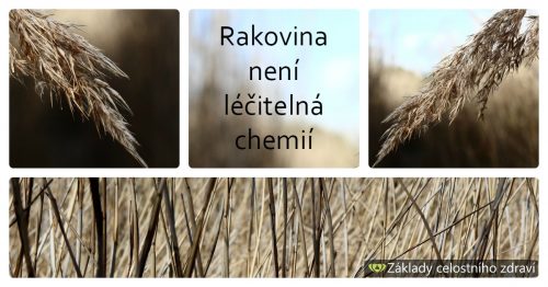 12 citátů lékařů, které byste podle rakovinové lobby neměli znát