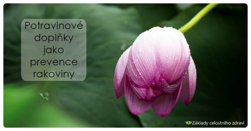 Interview s C. L. Paulingem – dvojnásobným nositelem Nobelovy ceny