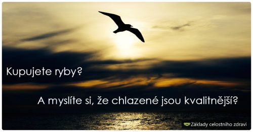 Jsou chlazené ryby čerstvé?