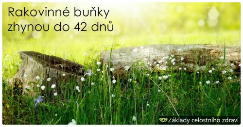 Breussova protirakovinná kůra