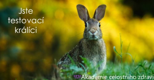 Objektivní lékaři?