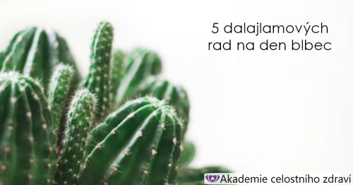 5 dalajlamových rad na Den blbec