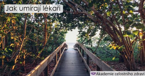 Jak umírají lékaři