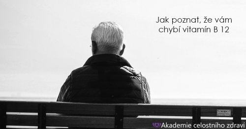 Proč potřebujeme vitamín B 12 a komu hrozí jeho nedostatek