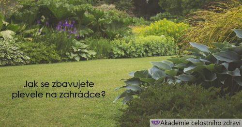 Jak se zbavujete plevele na své zahrádce?