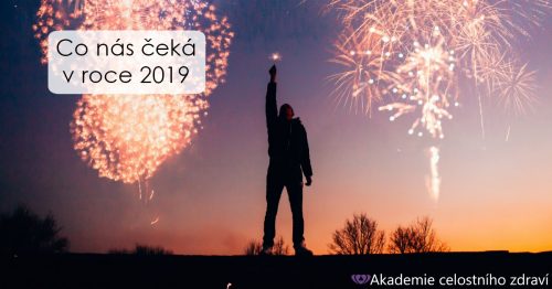 Milan Walek: Co nás čeká v roce 2019