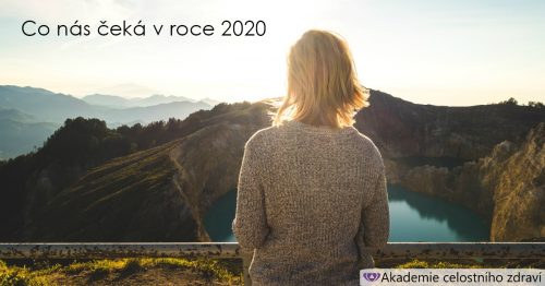 Výhled na rok 2020