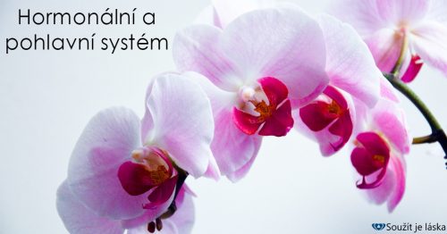 Hormonální a pohlavní systém – diagnostika