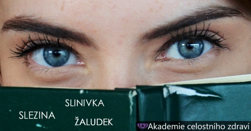 Slinivka, slezina a žaludek – diagnostika