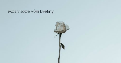 Zodpovědnost ženy za záchranu světa tkví v tom, co má jen ona