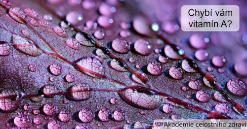 Zázrak imunity – vitamín A = retinol