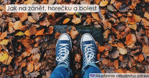 Kůra vrby bílé a tři mušketýři