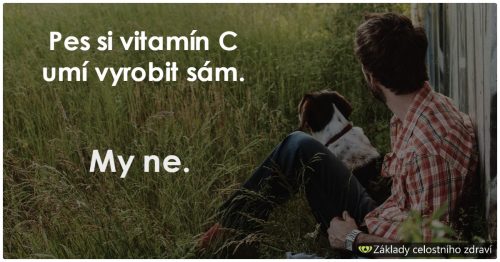 Vitamín C – kyselina askorbová – zázračná zbraň