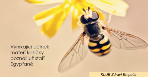 Včelí kašička – nejen pro královnu!