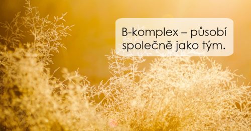 Vitamíny řady B – „ochránci nervů“