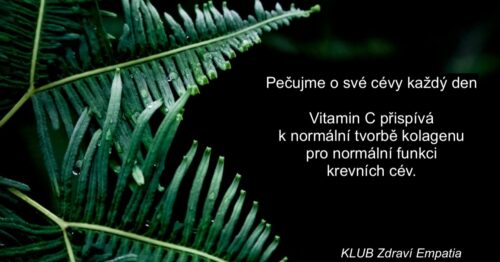 Co prospívá našim cévám a krevnímu oběhu?