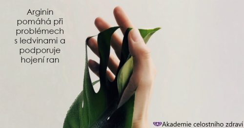Arginin – cévy mohou odpočívat