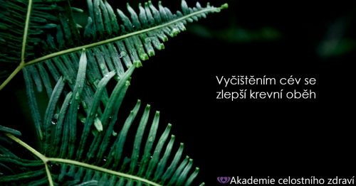 Vyčištěním cév se zlepší krevní oběh