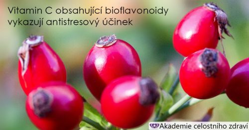 Vitamin C s flavonoidy