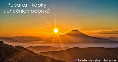 Pupalka – kapky slunečních paprsků