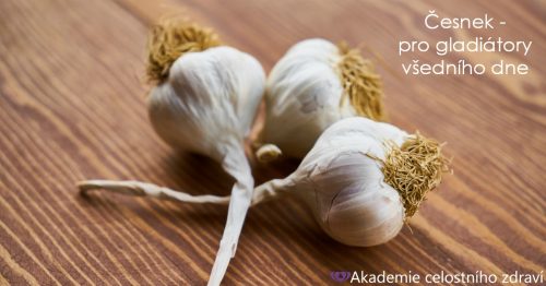 Česnek – pro gladiátory všedního dne
