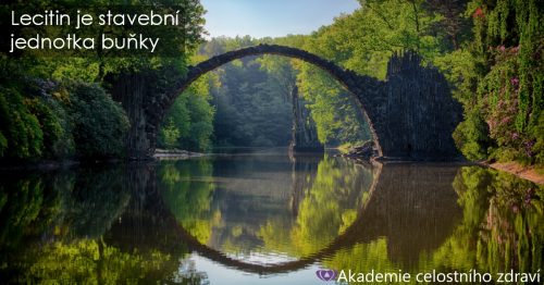 „Stavební jednotka buňky” – lecitin