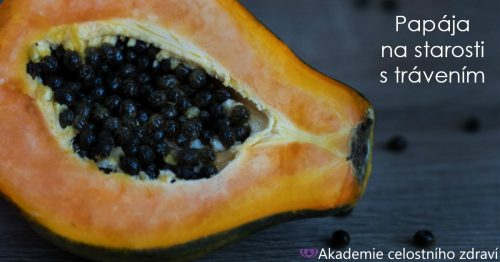 Papája – starosti s trávením