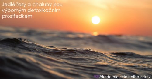 Elixír života 21. Století