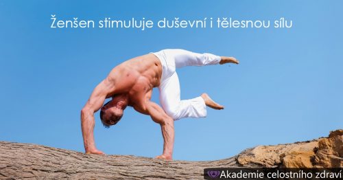 Ženšen – kořen dlouhověkosti