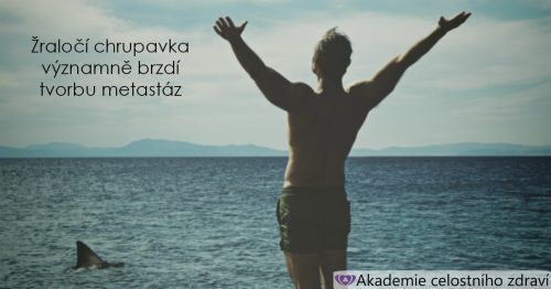 Žraločí chrupavka