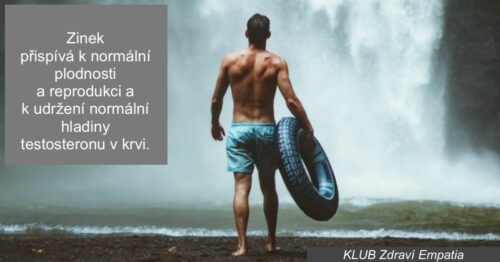 Zinek a město
