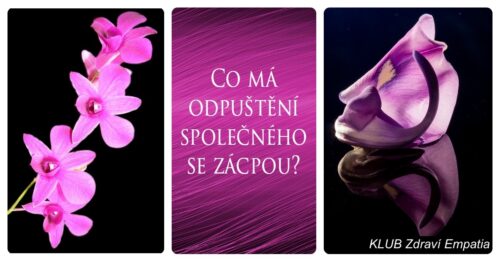 Co má odpuštění společného se zácpou?