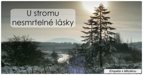 Vánoční pohádka pro dospělé