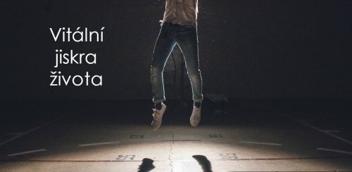 Koenzym Q 10 – ubichinon