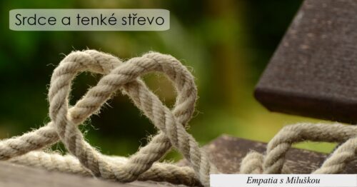 Srdce a tenké střevo – diagnostika